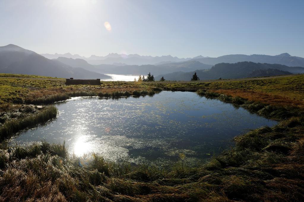 Hubertus Mountain Refugio Allgaeu Balderschwang Esterno foto